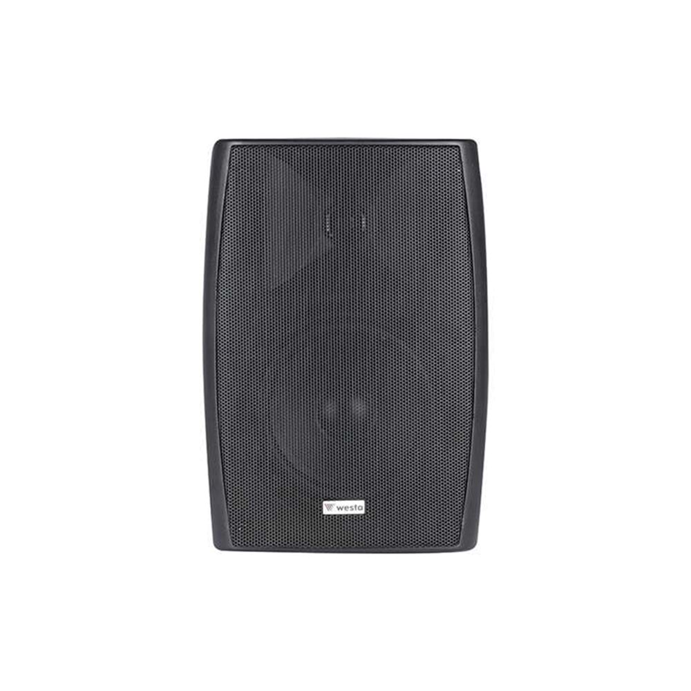 WS-55TB 13cm 30W 100V Kabin Hoparlör - Siyah