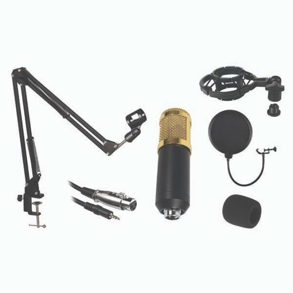 STU 002 Stüdyo Mikrofon Seti