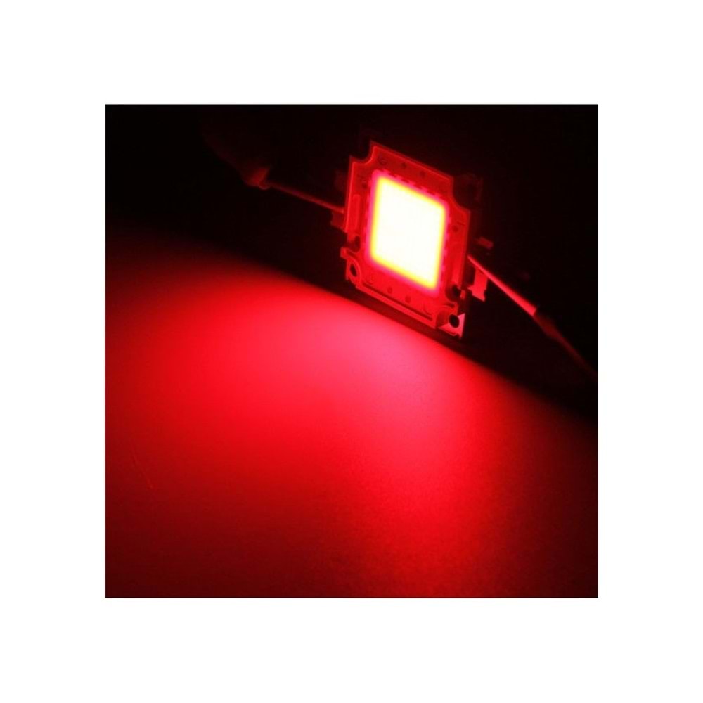 AMT 50 WATT KIRMIZI LED OUTDOOR LIGHT