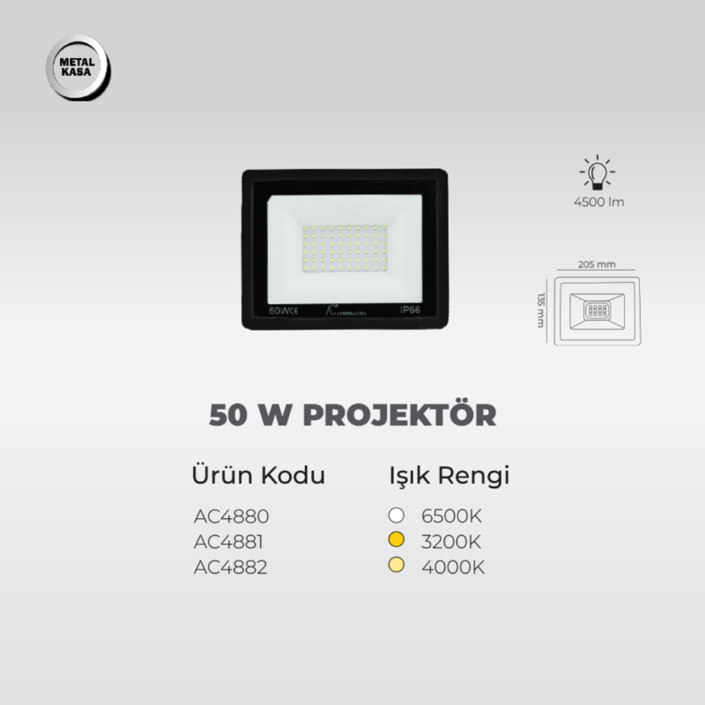 AC-4880 50W 6500K Led Projektör