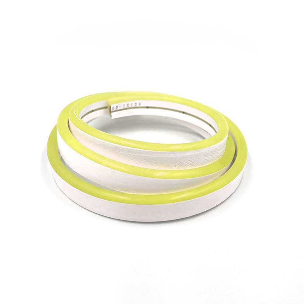 12V Neon Hortum Led 5mt