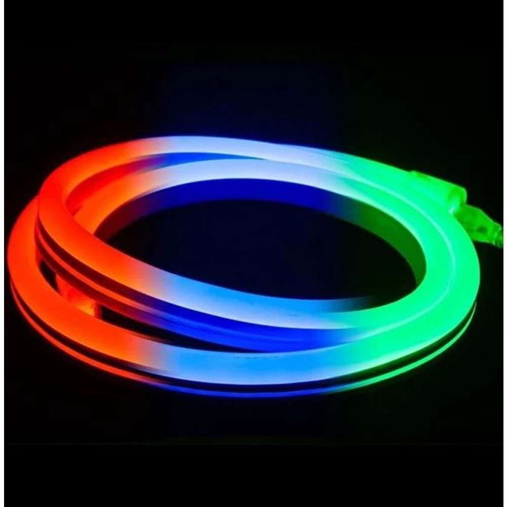 220V NEON LED 8X16 RGB