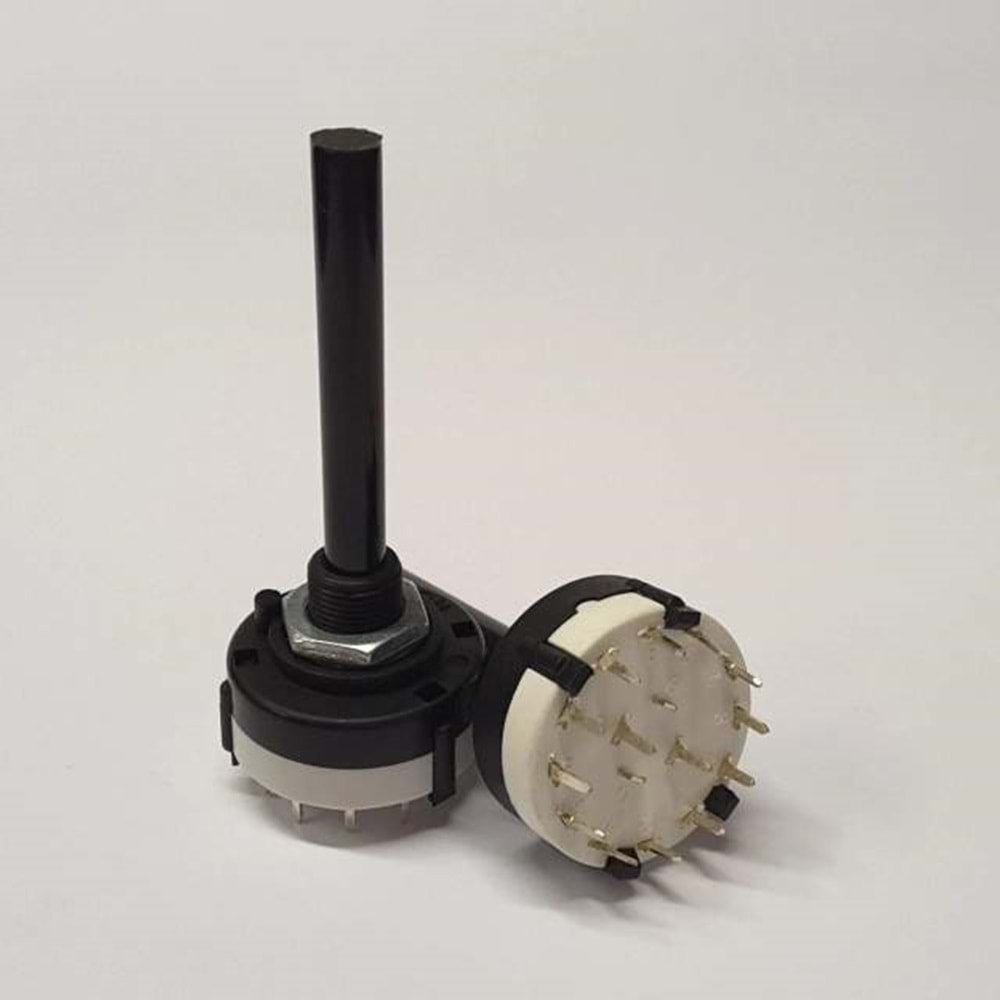 2x12 Komütatör Potans