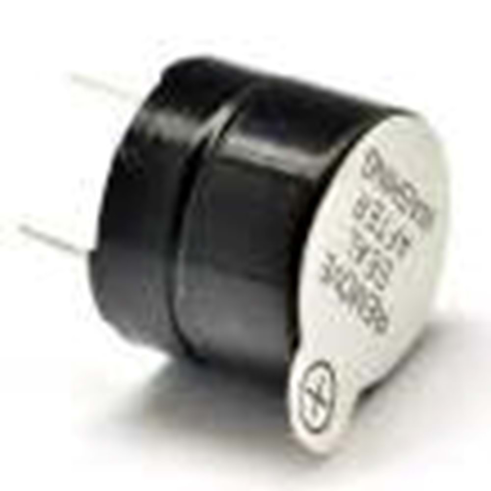 TMB12A12 12V 12mm Devreli Buzzer