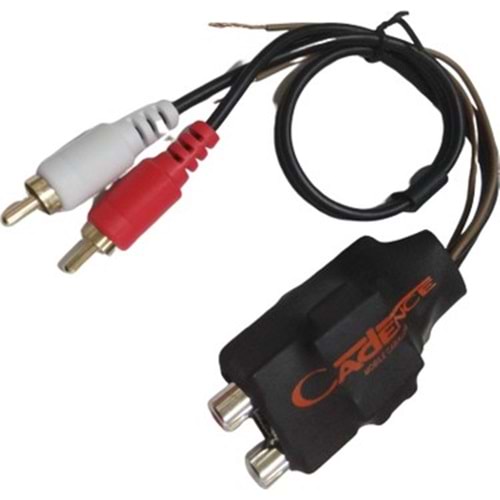 C100 Profesyonel Parazit Kesici