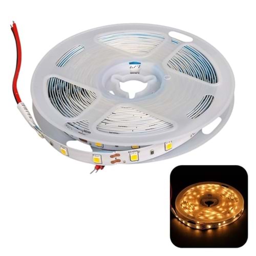 ZMR-601/B30 12V 5mt Şerit Led 3000K Günışığı