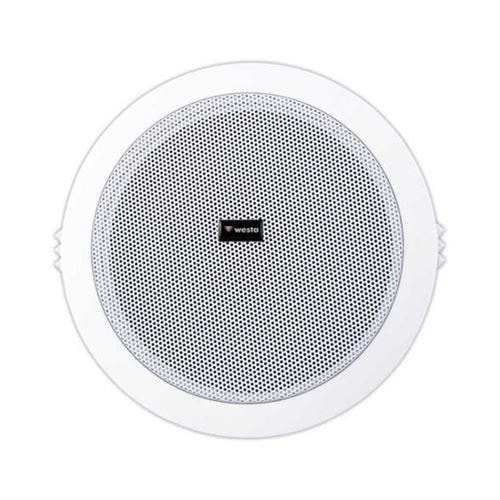 WS-1018T 13cm 5/10 WATT TRAFOLU ALÇIPAN HOPARLÖR