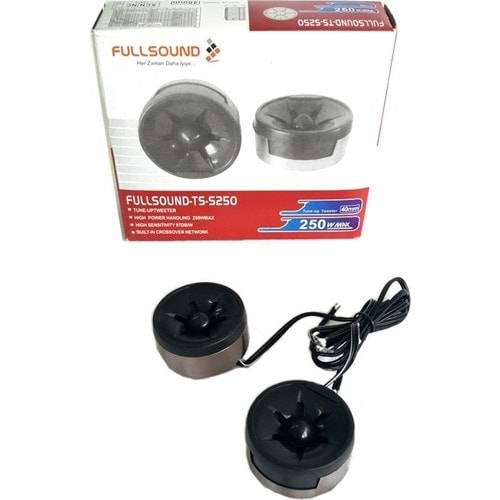TS-S250 1416C MINI HOPARLÖR
