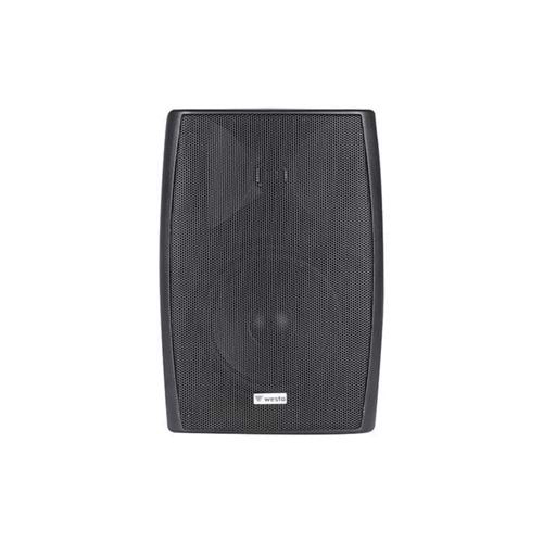 WS-55TB 13cm 30W 100V Kabin Hoparlör - Siyah
