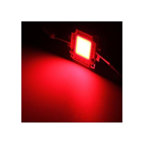 AMT 50 WATT KIRMIZI LED OUTDOOR LIGHT