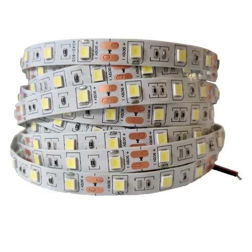 UZ-LS 4040 10 Çipli Beyaz 5mt Şerit Led