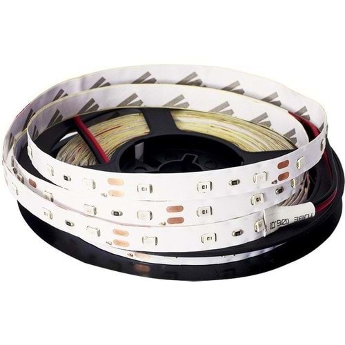 100403 Su Geçirmez Dış Mekan Gün Işığı Şerit Led 5 Metre