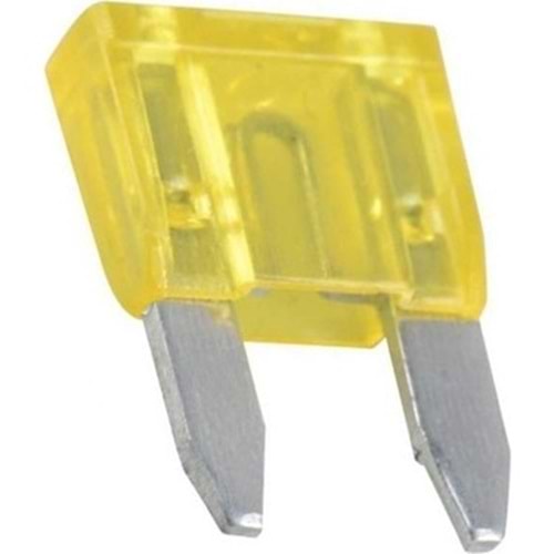 25 Amper Mini Oto Sigorta 2'li