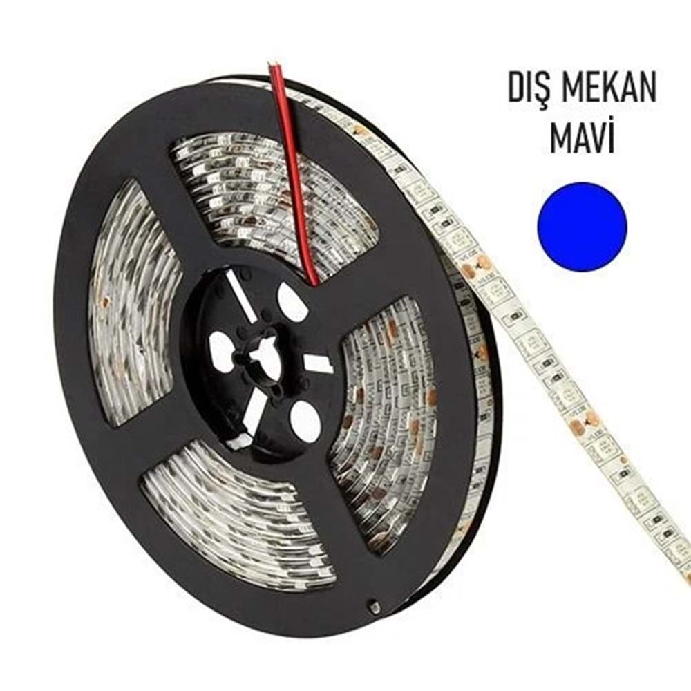4326-05 4040 HARICI SERIT LED DIS MEKAN (MAVİ)