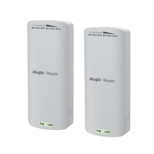 RG-EST100-E 2.4GHz 8dBi Dış Ortam 500M 300Mbps | 2 x 10/100 Access Point