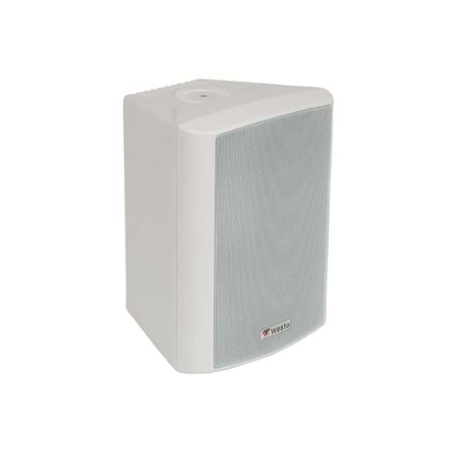WS-4W WESTA 10CM KABİN HOP.BEY.100WATT(TRAFOSUZ )