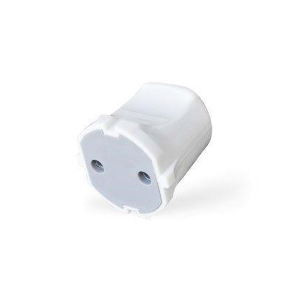 Topraksız Dişi Fiş Mimoza