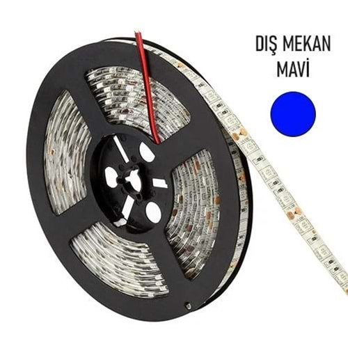 3528 Dış Mekan Su Geçirmez Mavi Şerit Led 5 Metre