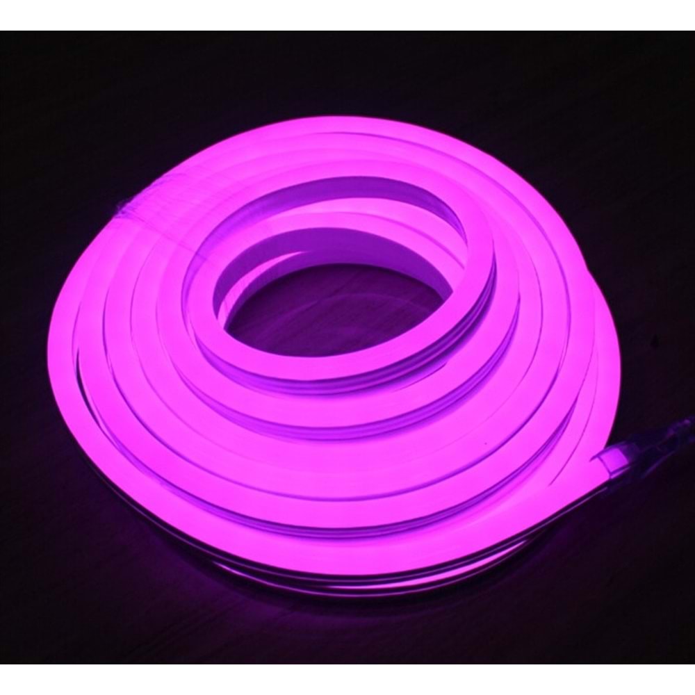 220V NEON LED 8X16 PEMBE