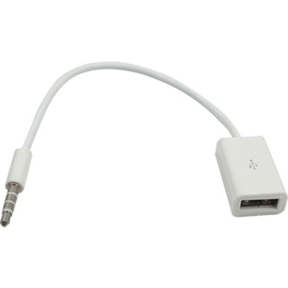 NRT-5065 USB to AUX Kablo 10cm