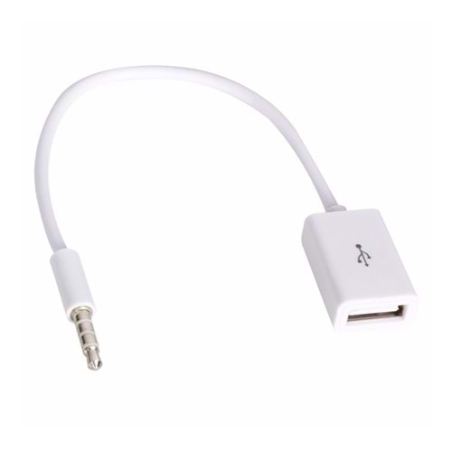 33294 USB Dişi To Aux Stereo 3 Boğumlu Kablo
